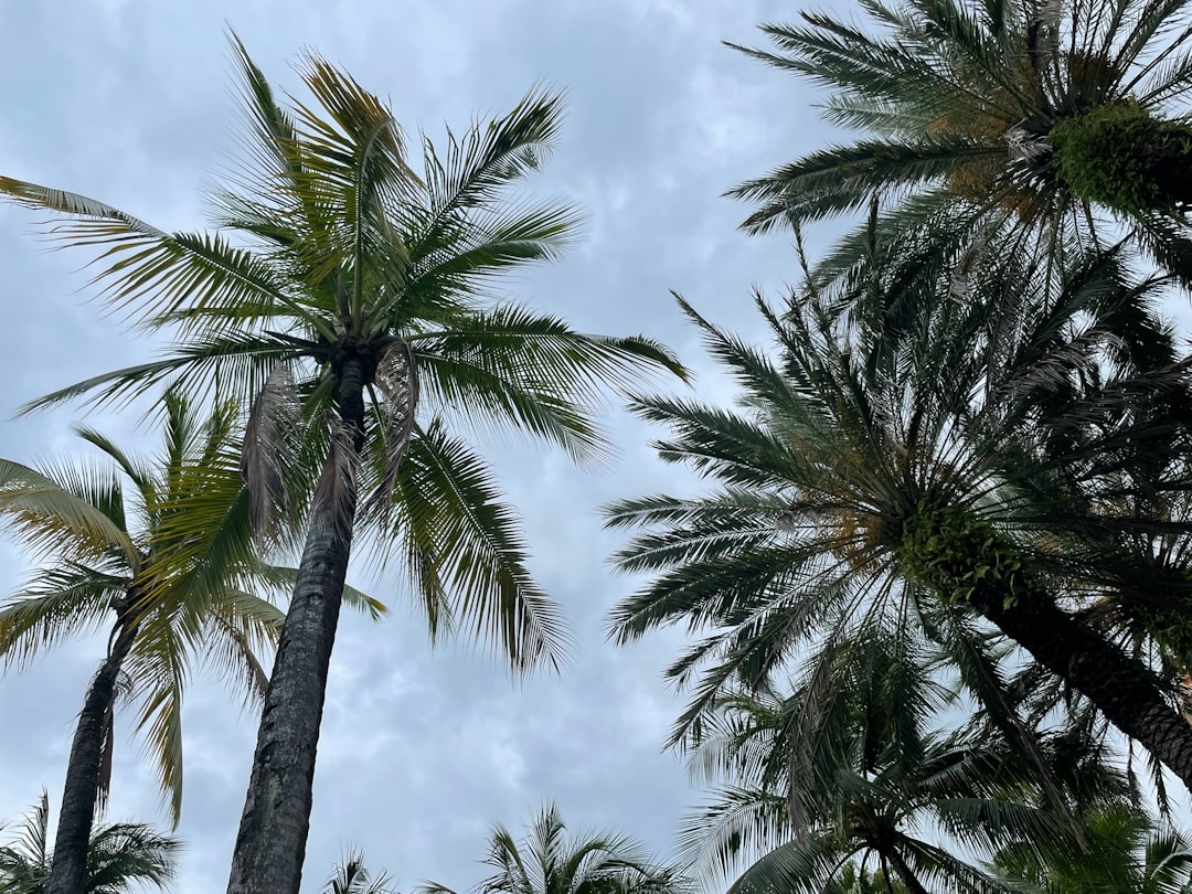 Boca Raton Weekend: Sun, Fun & Possible Showers