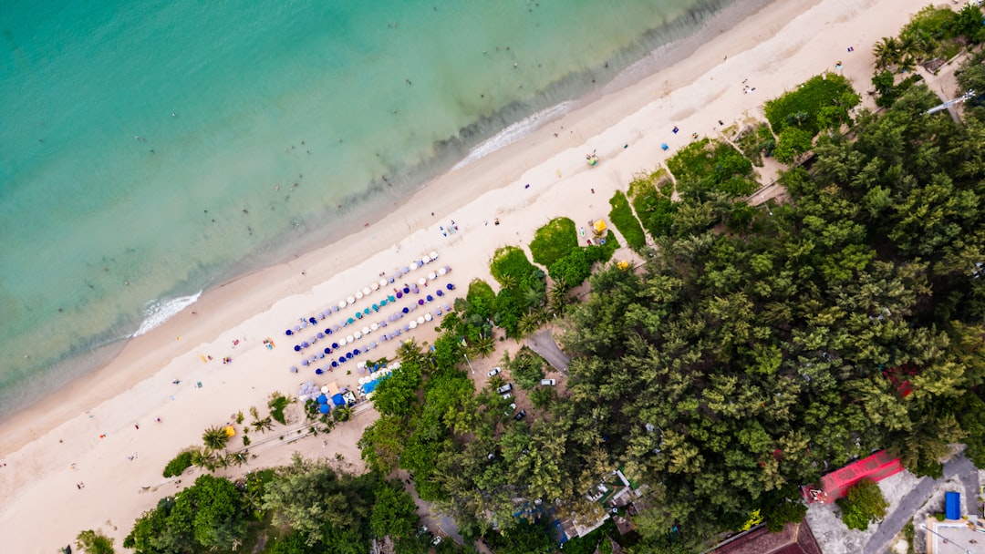 Boca Bash 2025: Lake Boca's Lakeside Extravaganza