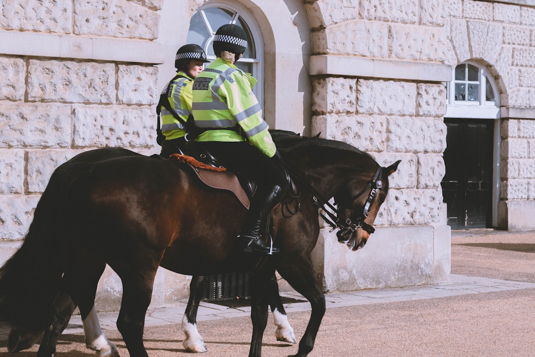 Cops Called for Vandalism at Boca Town Center Mall, Find Woman Covered in Spray Paint 2 Cops Called for Vandalism at Boca Town Center Mall, Find Woman Covered in Spray Paint
