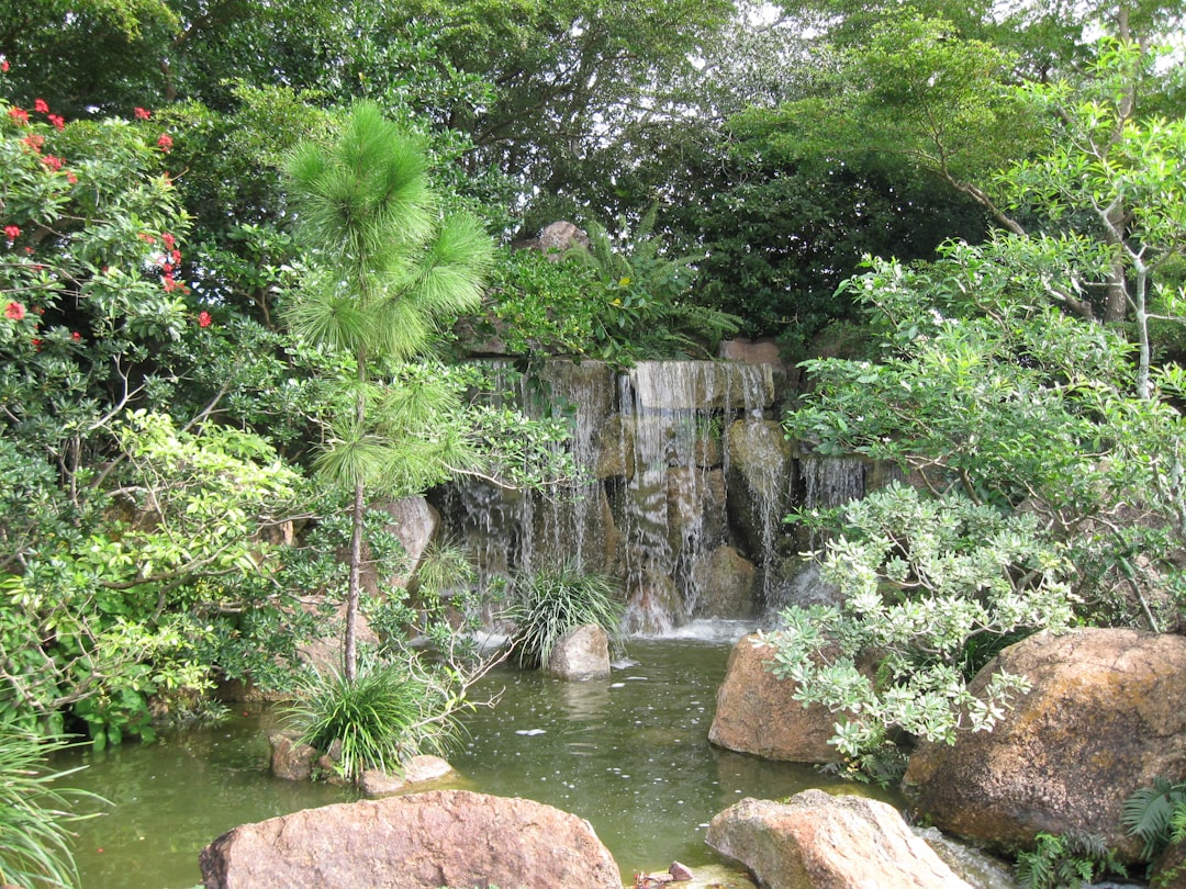 Delray Beach Approves Townhomes to Replace Shuttered Restaurant Property 2 Delray Beach Approves Townhomes to Replace Shuttered Restaurant Property