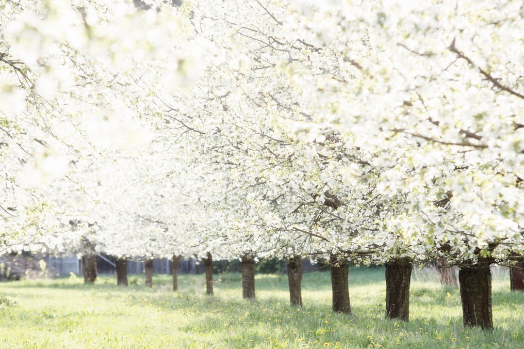 High Priority Health Violations For Henry’s Delray Beach 2 High Priority Health Violations For Henry’s Delray Beach