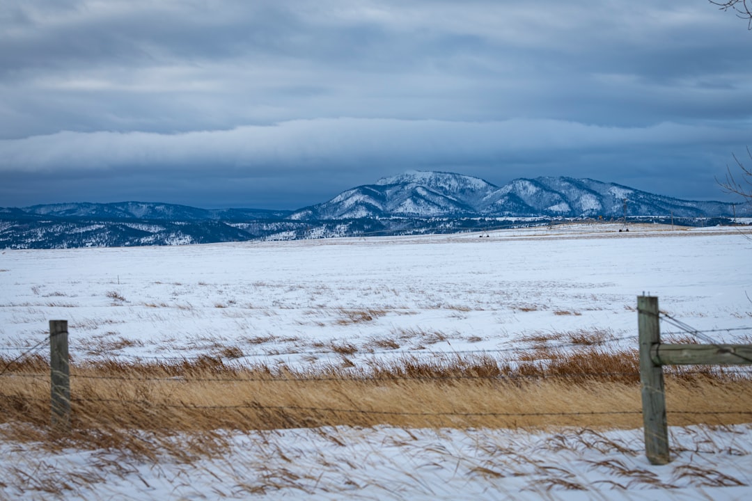 Marlins to Celebrate Boca Raton in September; Mayor to Throw Out First Pitch 2 Marlins to Celebrate Boca Raton in September; Mayor to Throw Out First Pitch