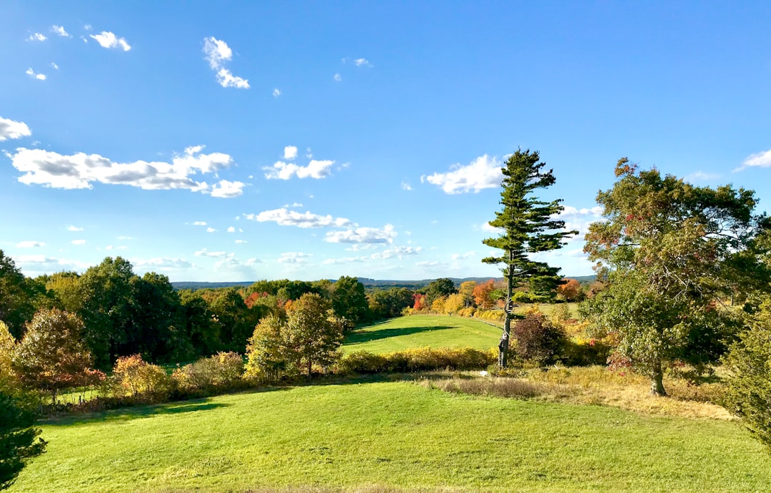 Massachusetts Man Accused Of Posing As Boca Raton Contractor