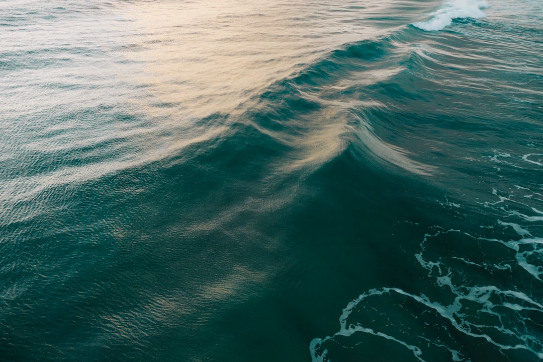 Palm Beach County Is One Of Healthiest Employers In Florida 2 Palm Beach County Is One Of Healthiest Employers In Florida