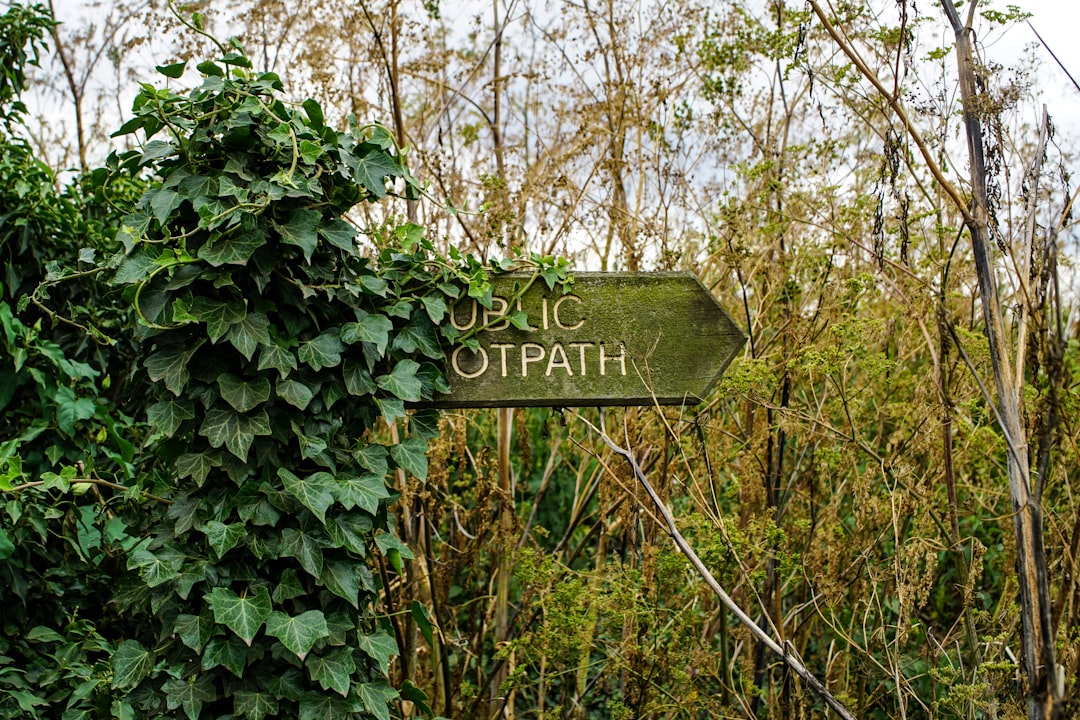 Public Schools Closed In Palm Beach County On Thursday