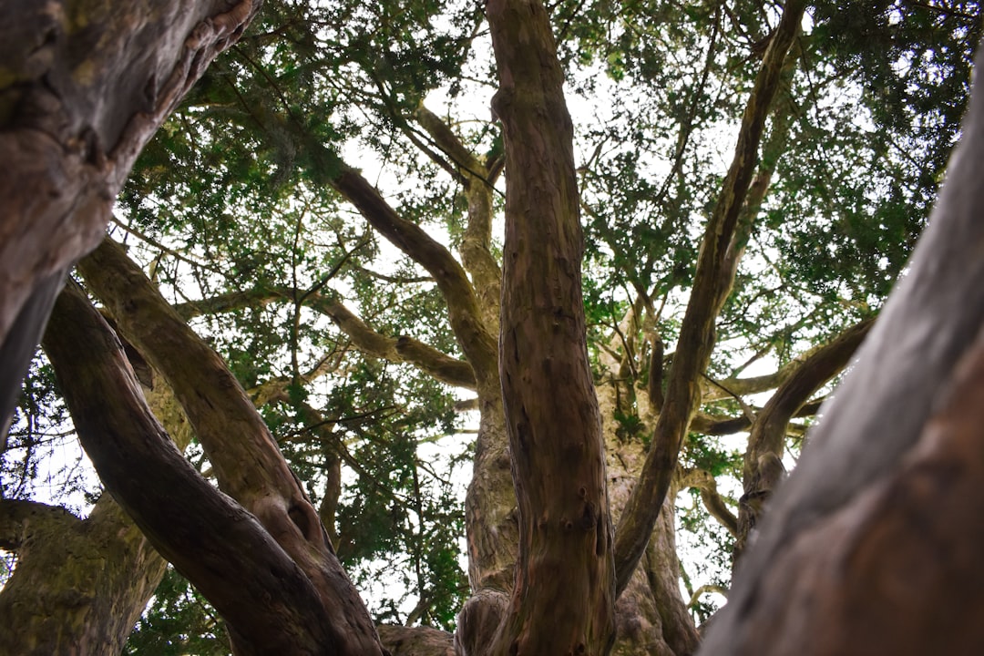 Special Weather Statement issued September 26 at 3:57PM EDT by NWS Miami FL