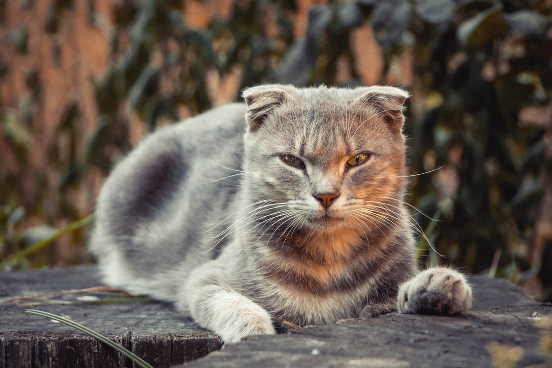 Suspect Arrested Hours After Boynton Beach Slaying 2 Suspect Arrested Hours After Boynton Beach Slaying