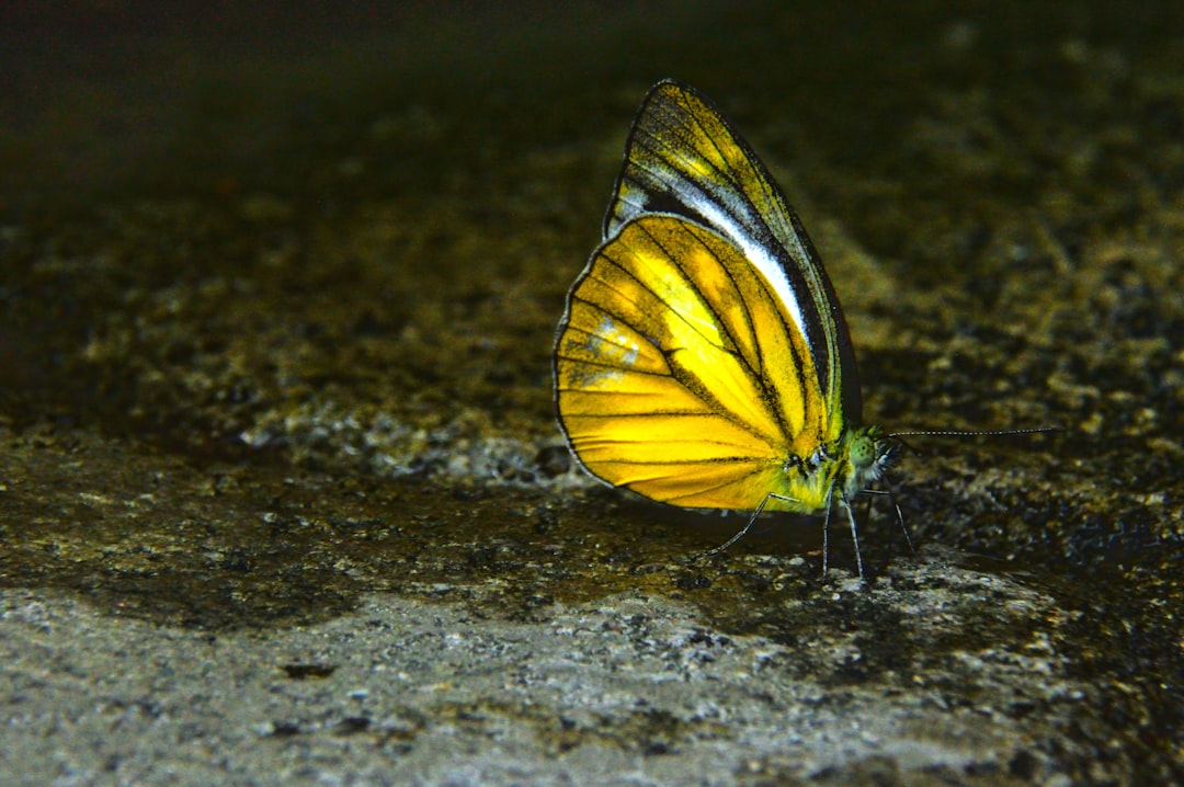 TROPICAL STORM WATCH: Hurricane Center Issues Watch For Part Of South Florida