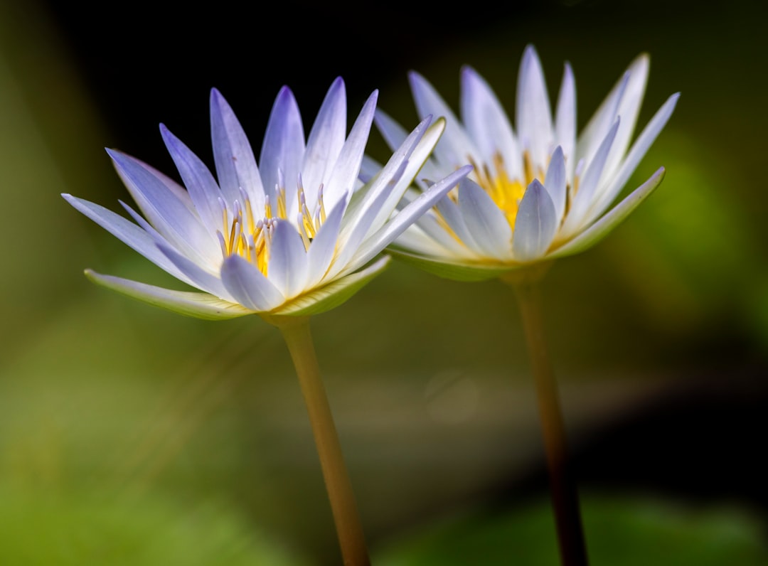 Two Arrested After Altercation at Boca Raton Hotel 2 Two Arrested After Altercation at Boca Raton Hotel