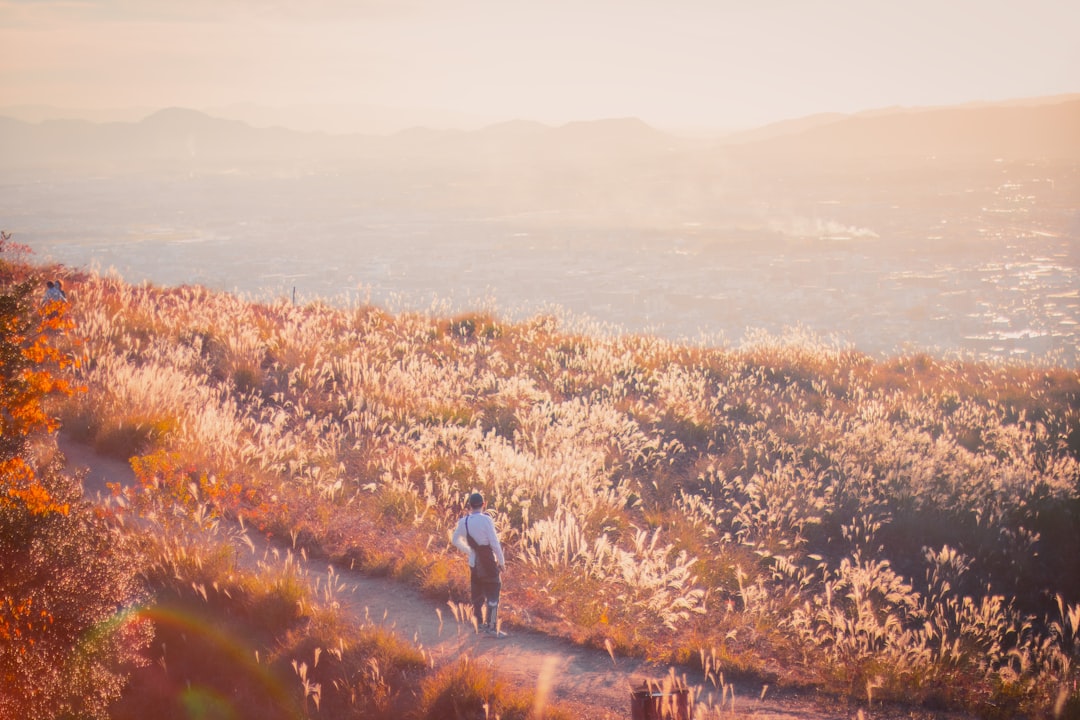 Yamato Road Parcel Cleared for Restaurant, Drive-Through Use 2 Yamato Road Parcel Cleared for Restaurant, Drive-Through Use