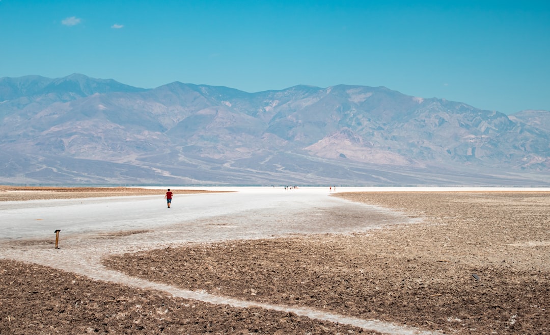 Another Bagel Place Ordered Shut in Boca Raton After Insects Found