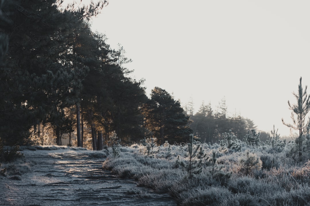 CHILLY! Did You See What The Low Is Going To Be In South Florida Tonight?