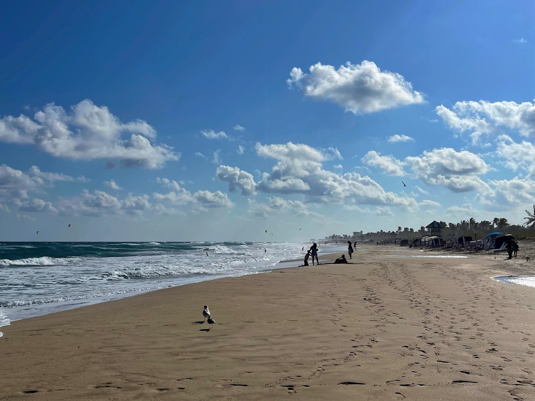 Delray Beach Woman Allegedly Throws Wooden Shoe At Man