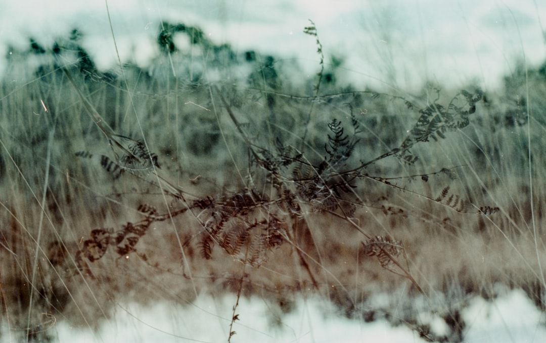 Double Shooting Leaves One Man Dead In Royal Palm Beach