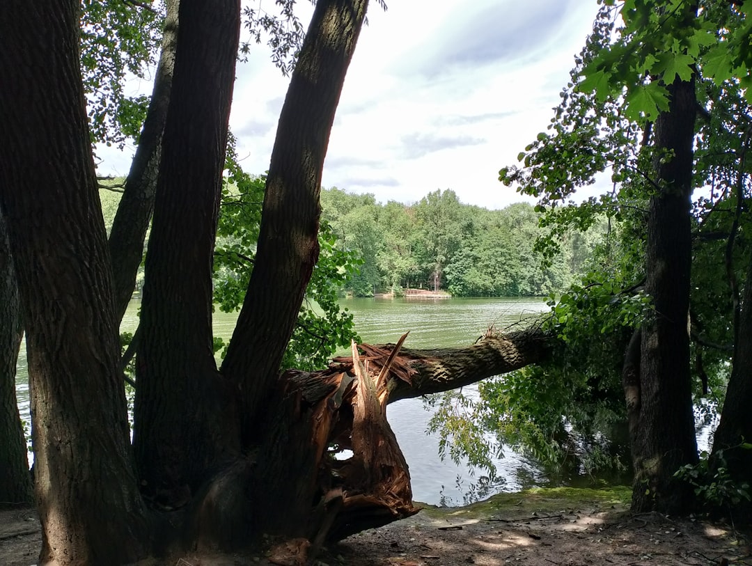 HURRICANE CENTER: Melissa Forms, May Head North Towards Florida