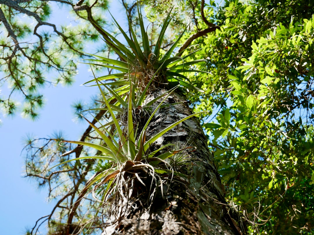 Delray Beach To Host Its Own “School Choice” Showcase