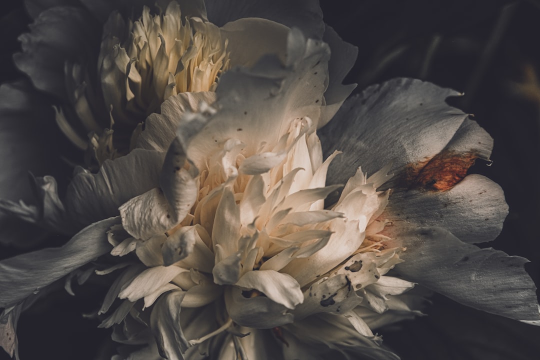 First Watch Delray Beach Slammed With Multiple Health Violations