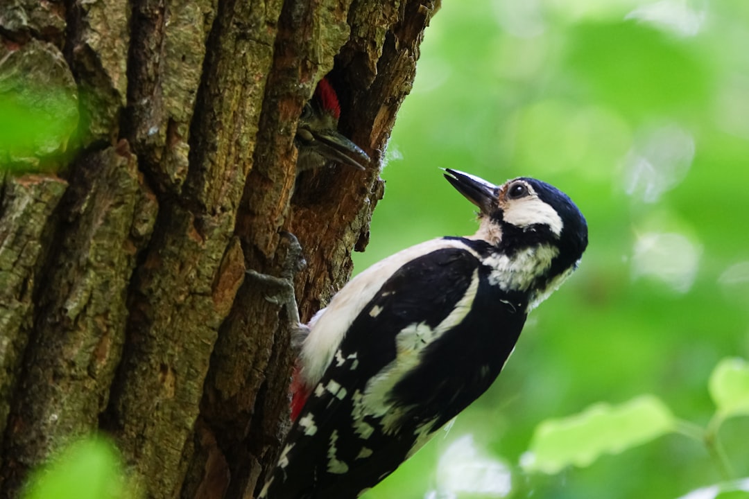 Major World AIDS Day Event Set For Palm Beach County