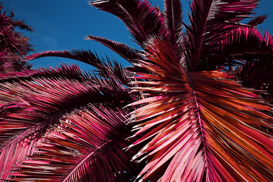 Palm Beach County Breaks Ground on “Affordable” Housing