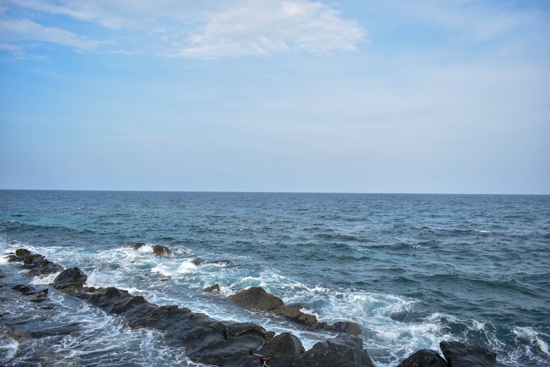 SEA WORLD, AQUATICA, BUSCH GARDENS UNDER FEDERAL INVESTIGATION