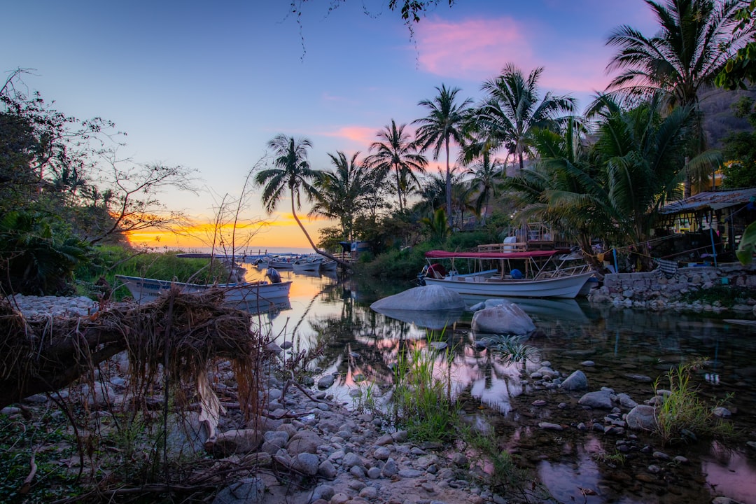 Boca Bagel Bar Receives Several “High Priority” Health Violations