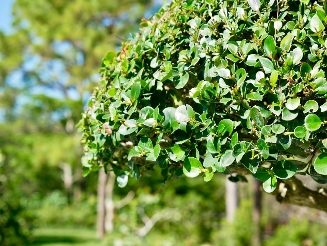 DELRAY BEACH CHURCH MINISTER ARRESTED ON CHILD SEX CHARGE