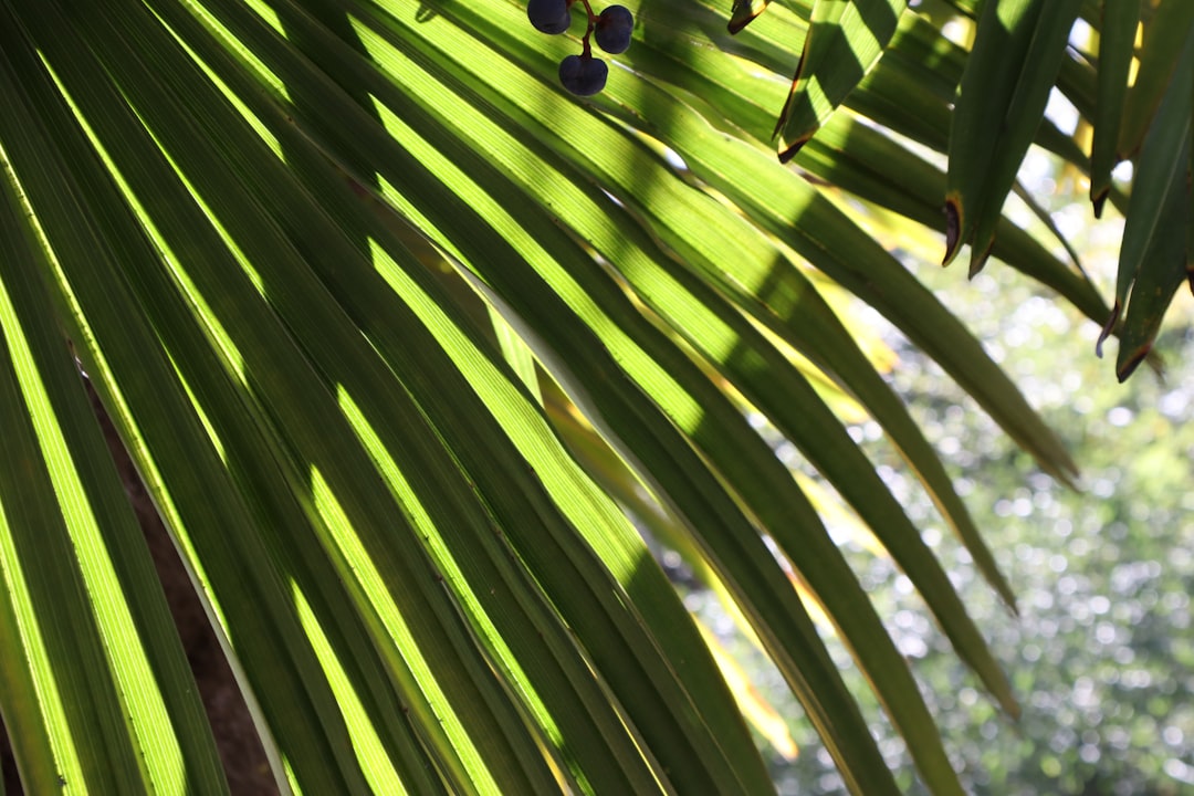 Palm Beach County Public Schools Resume Classes Today After Week Break