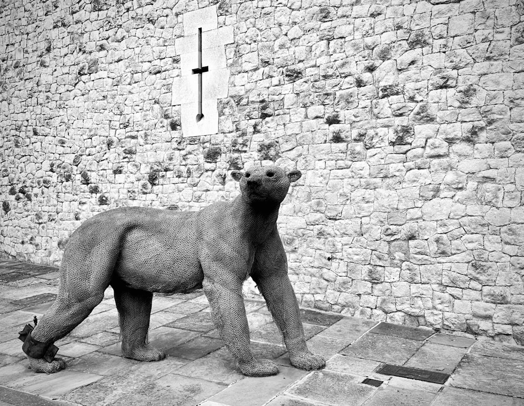 Royal Palm Yacht Club Evacuation Lifted After Major Gas Leak