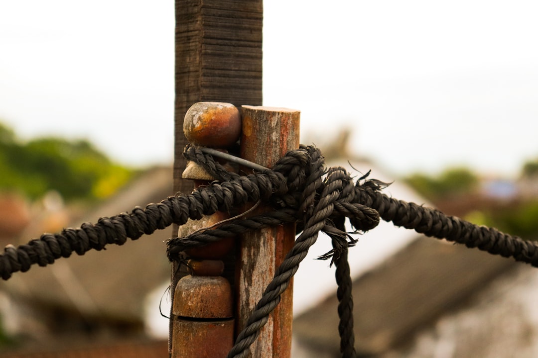 An American Heritage School Family Celebrates Big Month Of Achievement