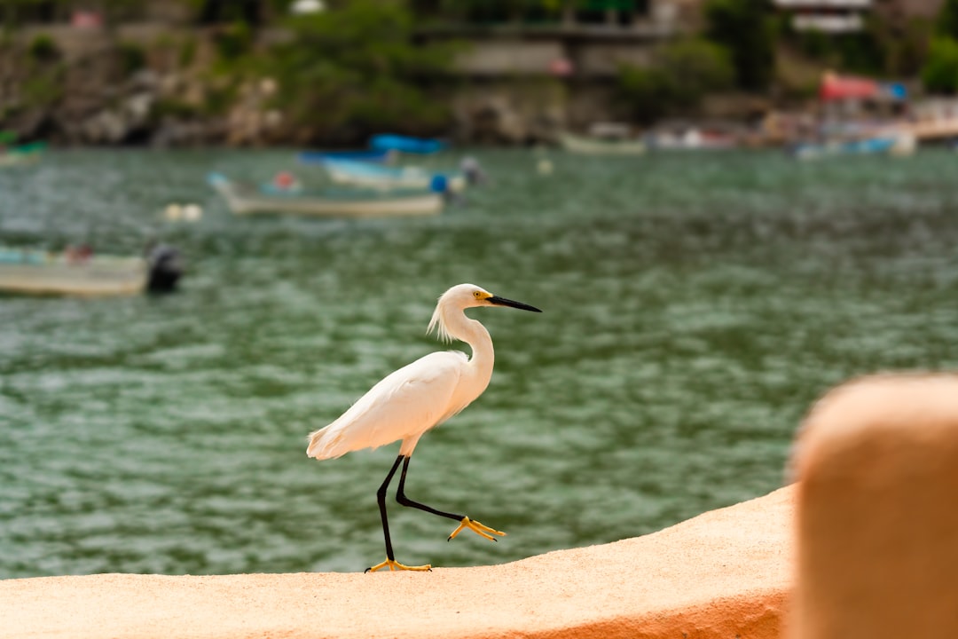 Boca Raton Revises Zoning Code to Allow Free-Standing Emergency Rooms