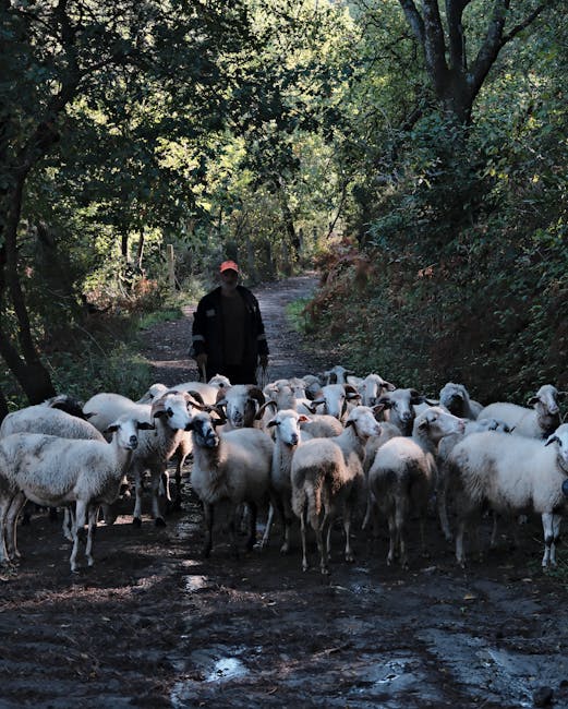BSO Sergeant Charged, Allegedly Violently Attacked Woman