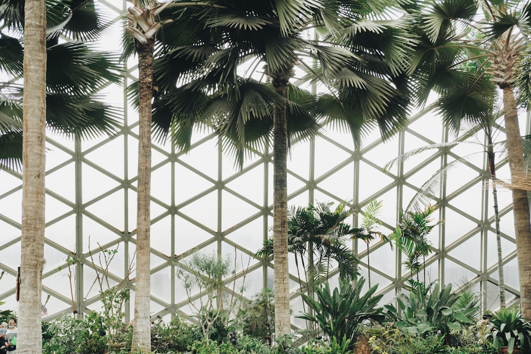 COCONUT CREEK MURDER: Cold Case Turns Hot As Victim Is Identified