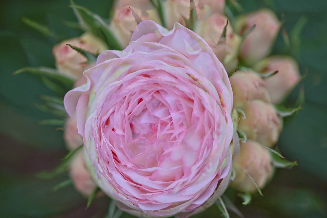 Multiple Health Code Violations For Popular Boca Raton Pizza Place