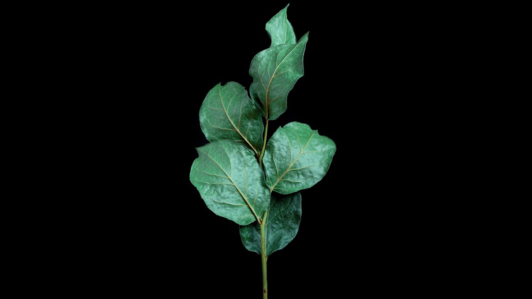 One Person Killed, One Injured When Car Rolls Into Canal In West Delray Beach