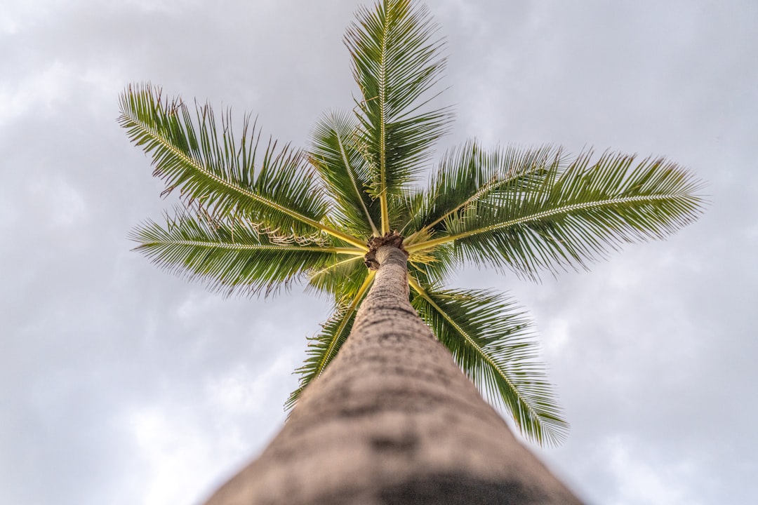 Palm Beach County School District Celebrates “Great” Educators