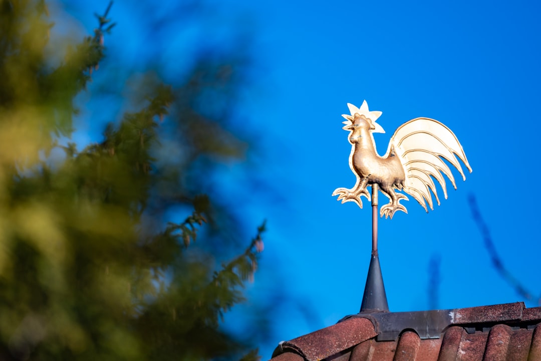 WEATHER ALERT: Cold Weather Advisory Issued For Palm Beach County