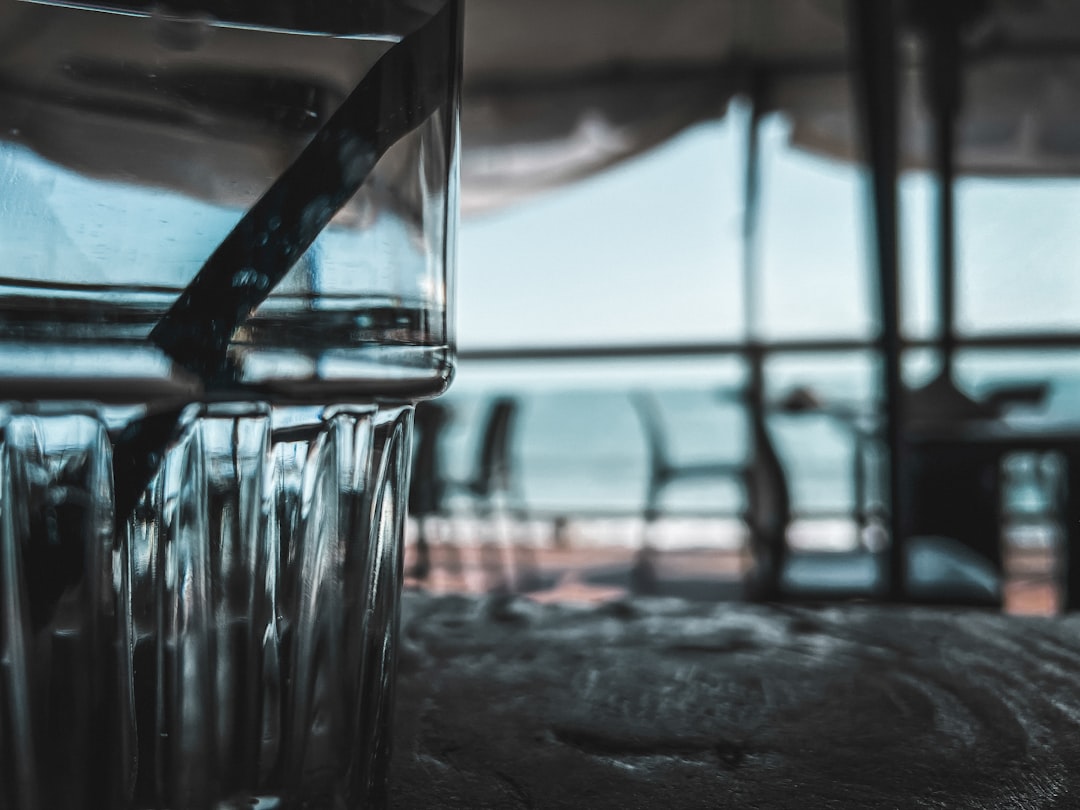 Boca Raton’s ‘Bark Beach’ Now Open 7 Days Per Week