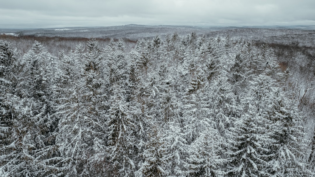 Catskills Marijuana And DWI Arrests Keep Troopers Busy Near Narrowsburg