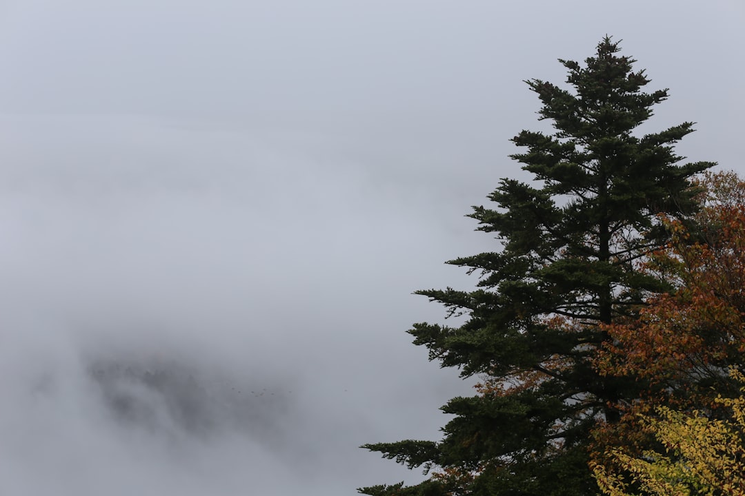 FOG ADVISORY: Difficult Driving In Parts Of Palm Beach County Thursday Morning