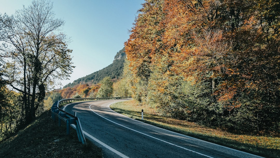 Here’s What To Know About Trash Collection On President’s Day