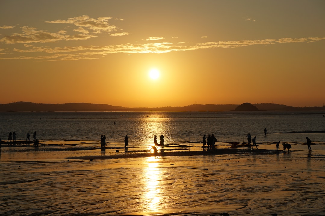 Man On Scooter Slams Into Brightline Train, Dies