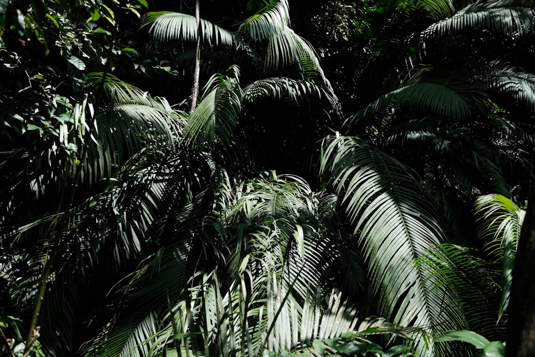 Palm Beach County Again Opens Cold Weather Shelters