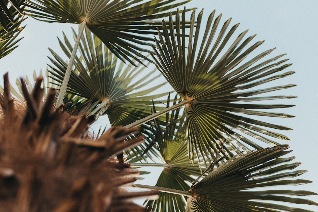 Palm Beach County Crash Leaves Lakeland Man Dead