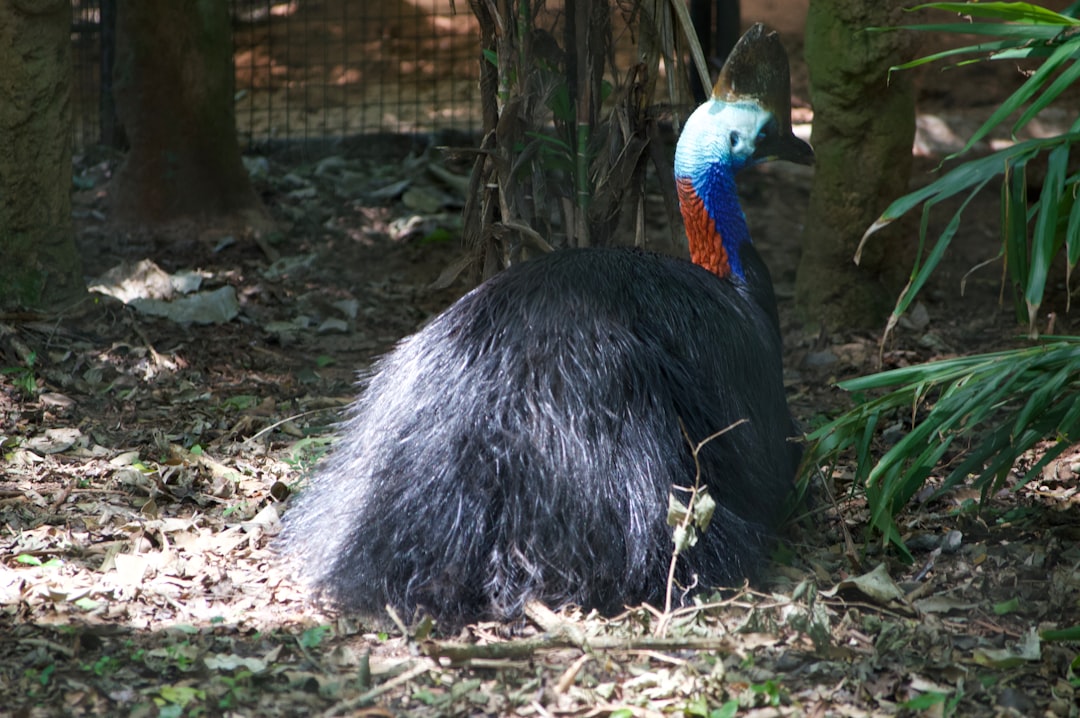 Seven Bridges Man, 68, Says He Didn’t Know Girl He Flew For Sex Was 17