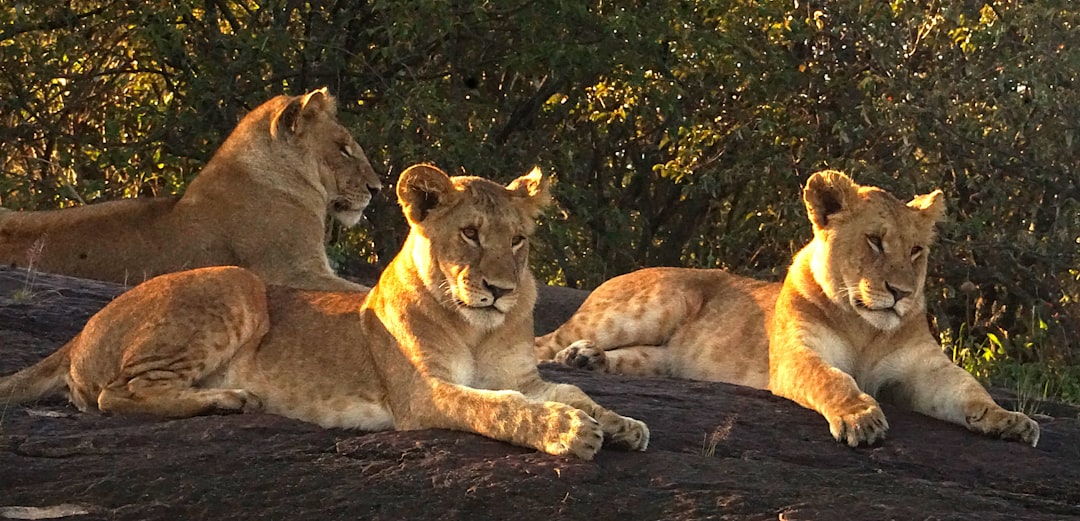 RARE: Morton’s Steak House In Boca Raton Cited By Health Inspector