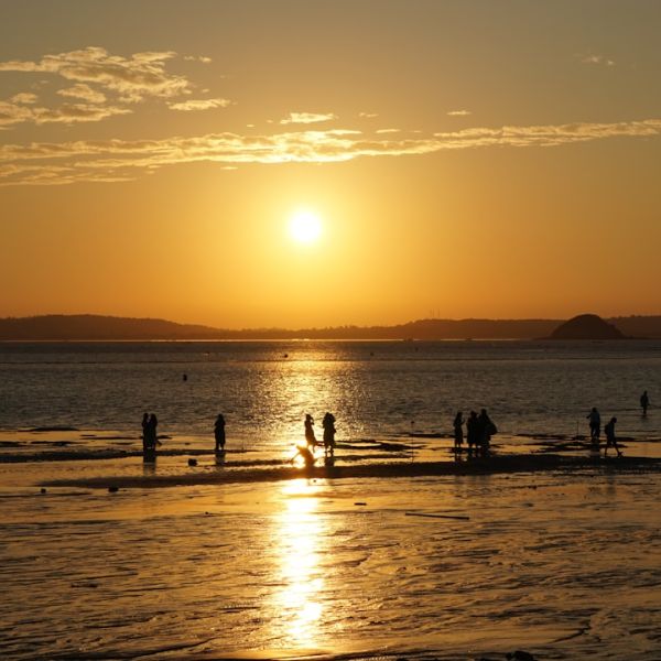 Home 14 Man On Scooter Slams Into Brightline Train, Dies