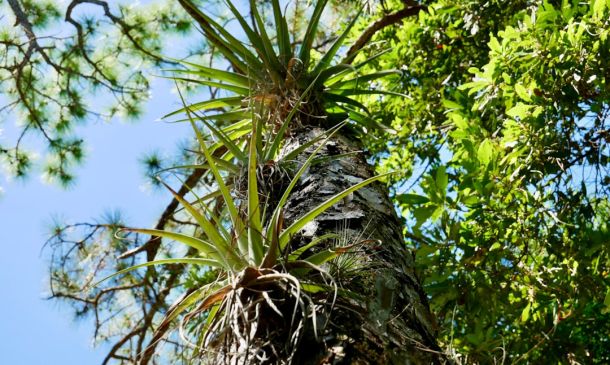 Delray Beach To Host Its Own “School Choice” Showcase