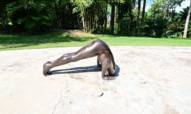 Boca Raton Plane Crash: Survivor's Story Emerges 6 Boca Raton's Wildflower Park: A Blooming Art Scene