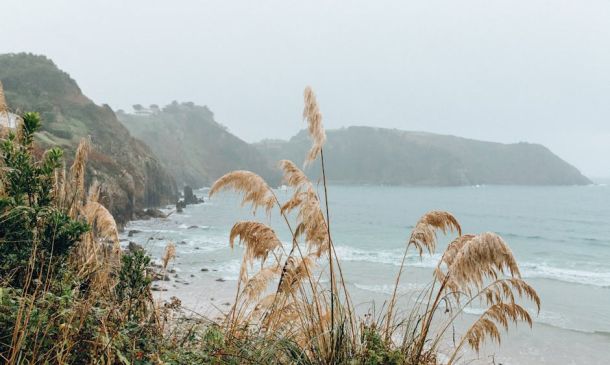 Boca Raton high tides – Popular Boca Raton's 2024 King Tides: Essential Guide