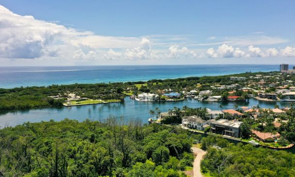 Boca Raton Officials Evaluating Fish Die-Off in Lake Near Library